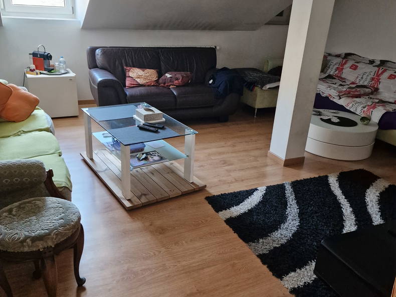 Gastfamilie Mulhouse 123209-1