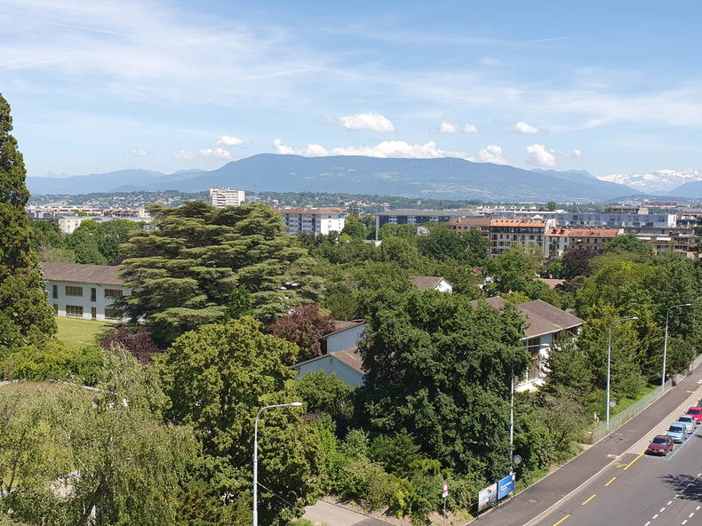 Colocação Genève 128869-2