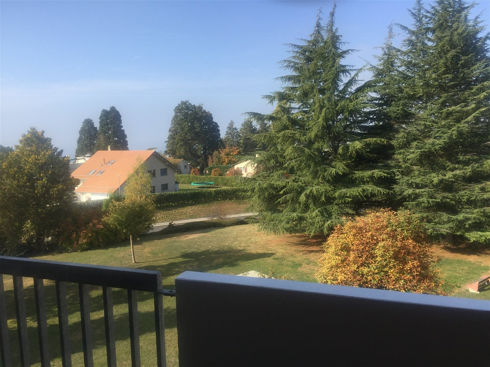 Colocação Chernex 246932