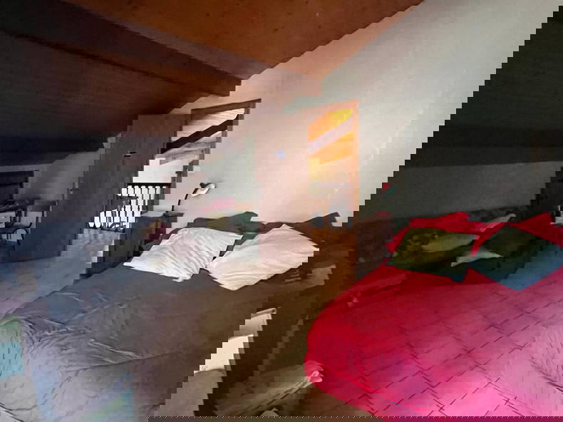 Colocation Mont-de-Marsan 409235-4