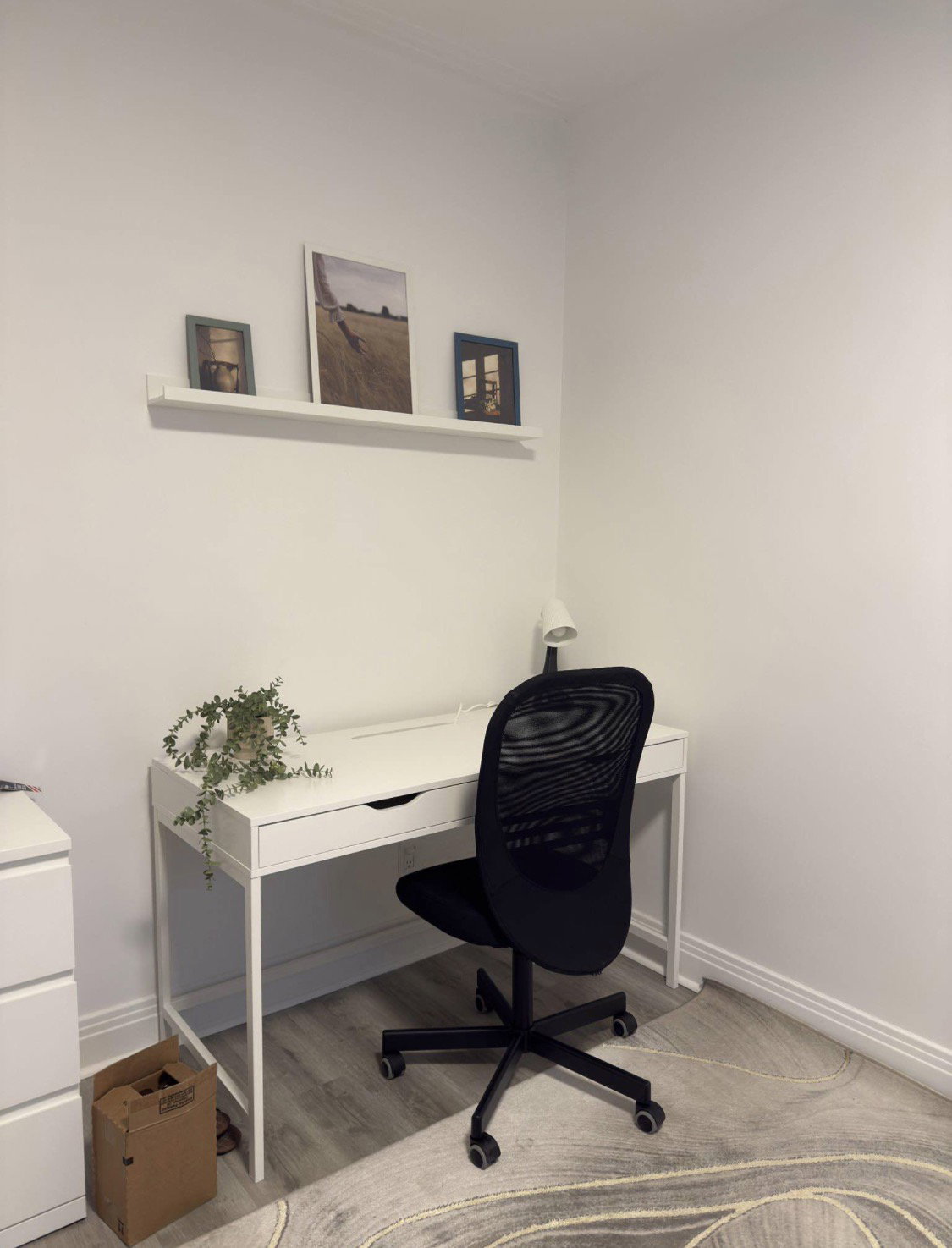 Coliving Montréal 670324