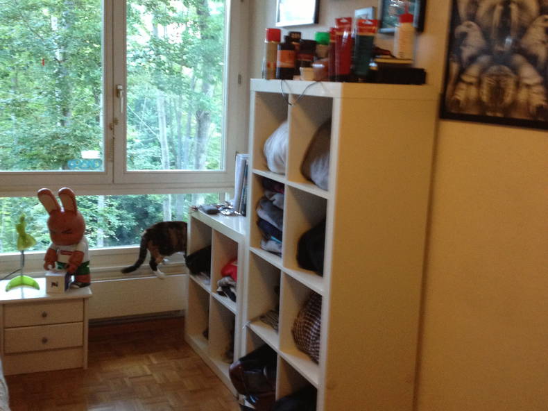 Colocación Épalinges 69268-2