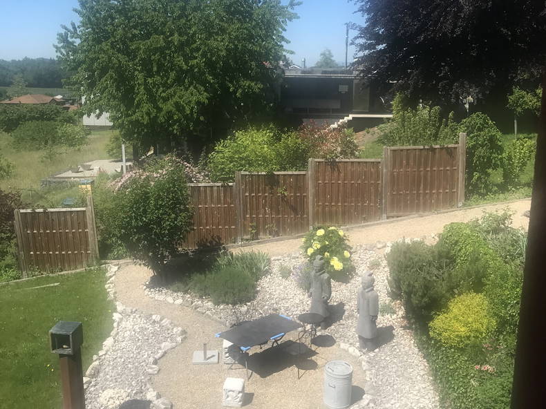 Homestay Villars-sur-Glâne 241421-5