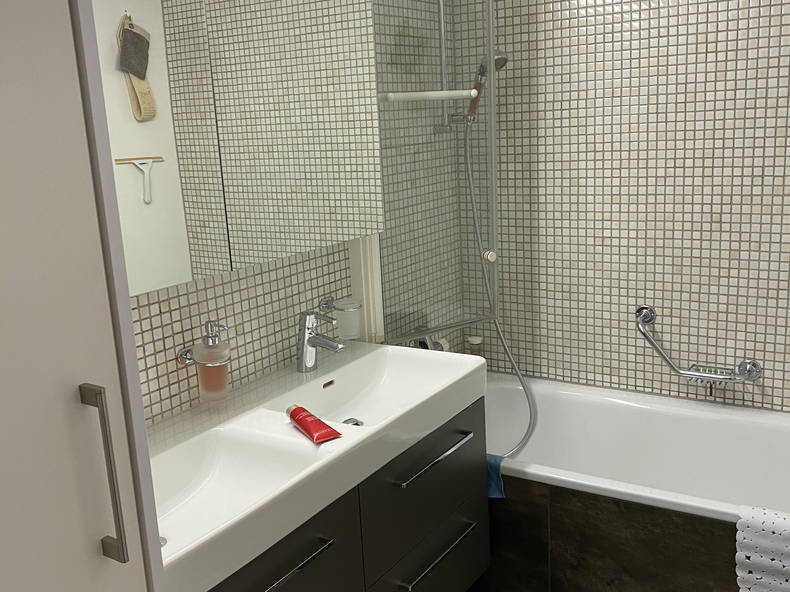 Homestay Villars-sur-Glâne 241421-3