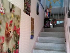 Quedarse En Casa Dijon 8443-1