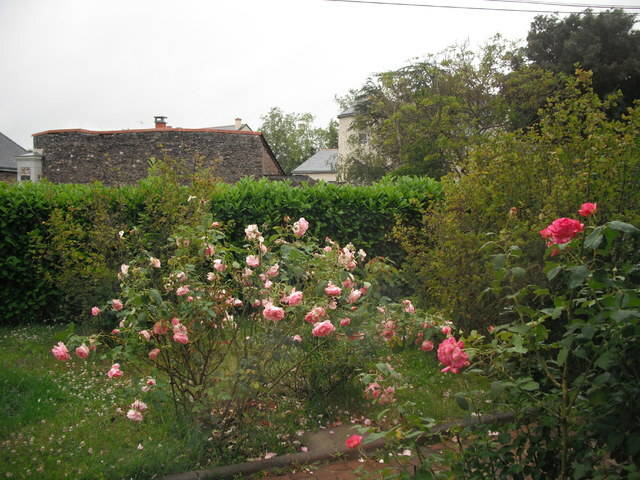 Chambre Chez L'habitant Angers 53601-5