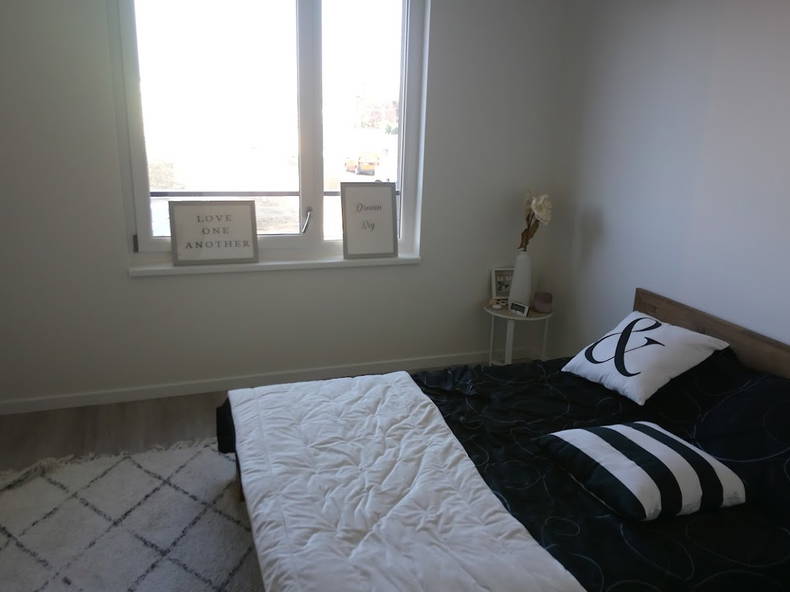 Kolokation Schiltigheim 497619-5