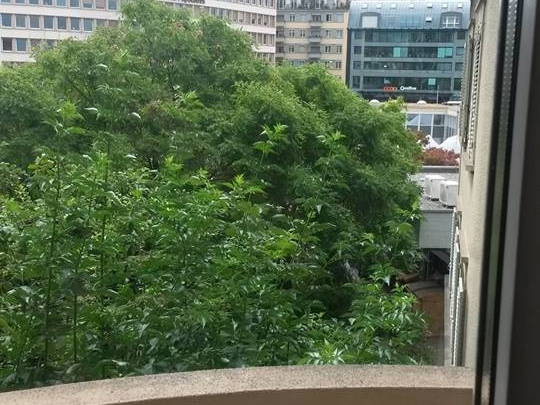 Toda La Casa Lausanne 77095-3