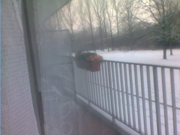 Gastgezin Anderlecht 52088-1