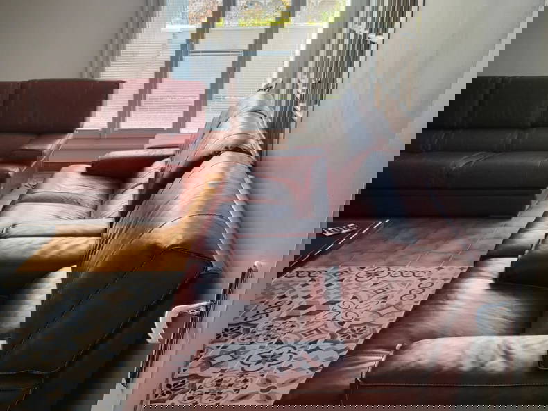 Kolokation Montigny-le-Bretonneux 596349-1