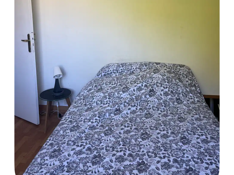 Kolokasie Vannes 657908-2