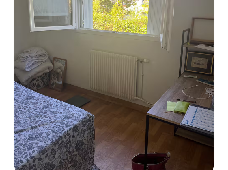 Kolokasie Vannes 657908-3