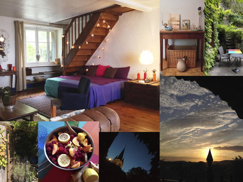 Gastfamilie Saint-Sorlin-en-Bugey 86428-4