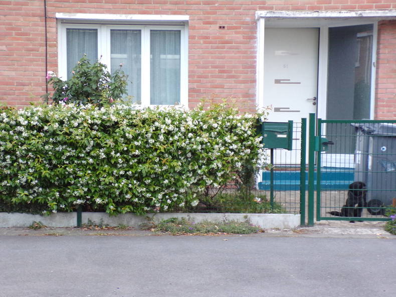 Homestay Faches-Thumesnil 234849-1