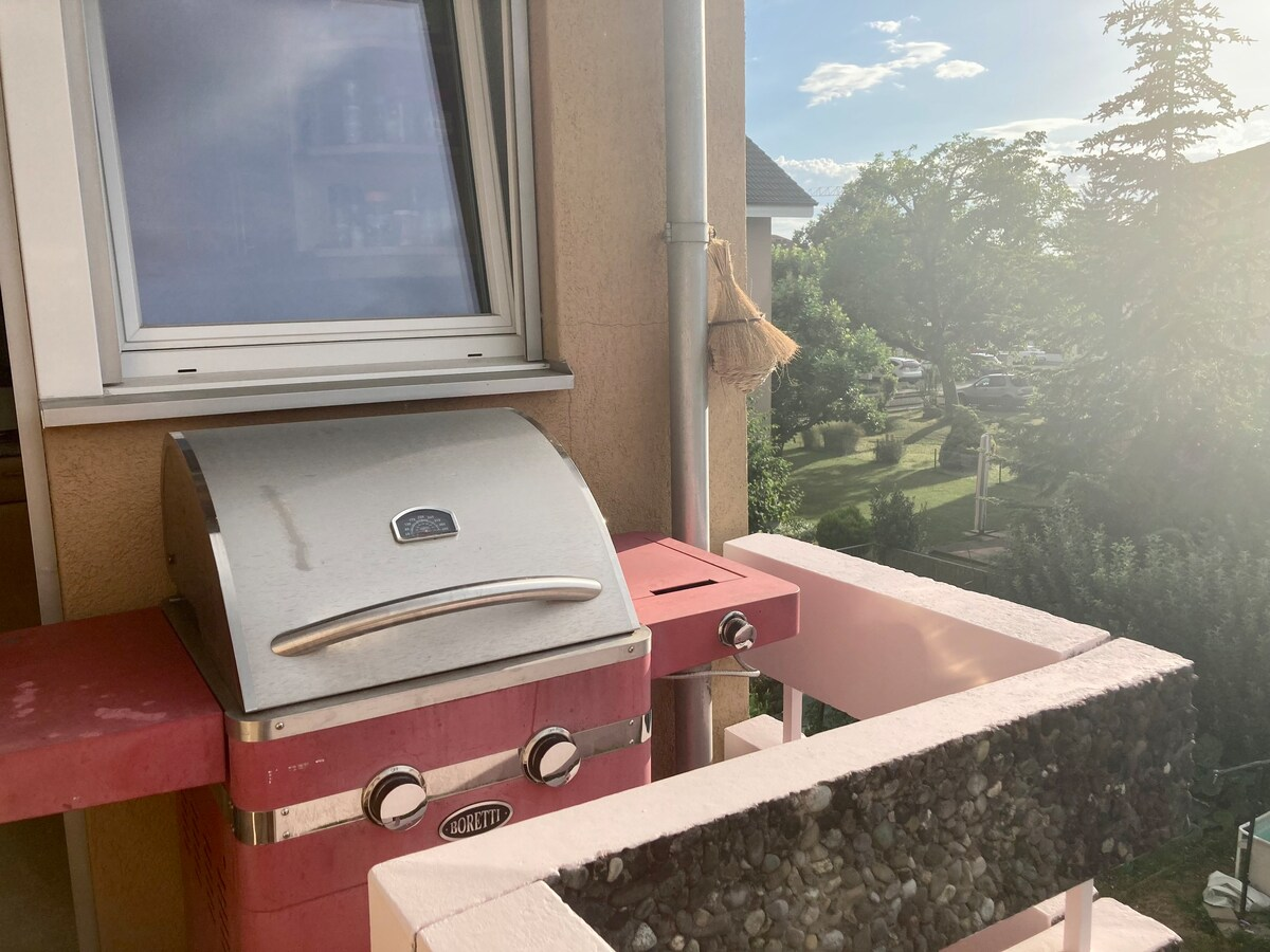 Chambre Chez L'habitant Birsfelden 427074