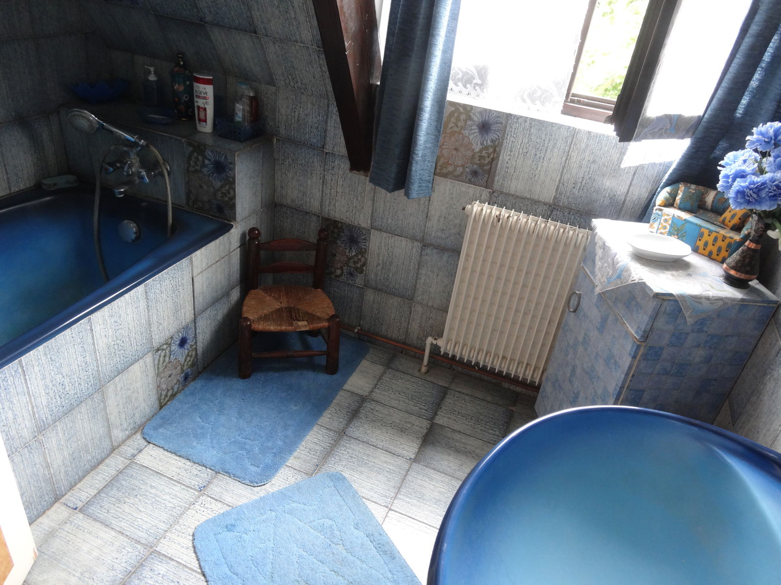 Chambre Chez L'habitant Saint-Maur-des-Fossés 131624