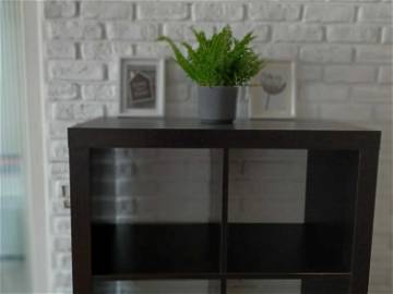 Colocation Dijon 250833-6