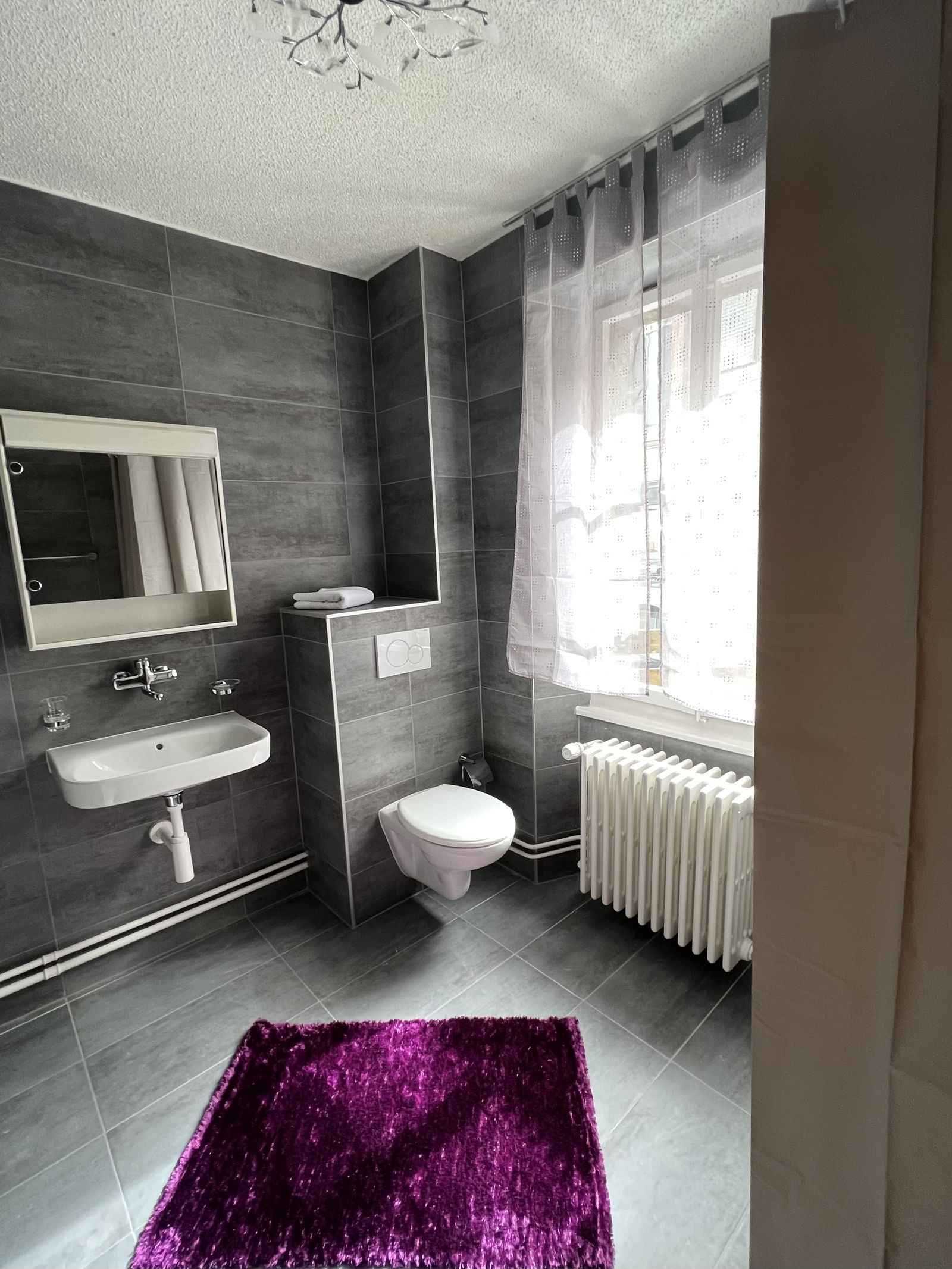 Chambre Chez L'habitant Montreux 367519