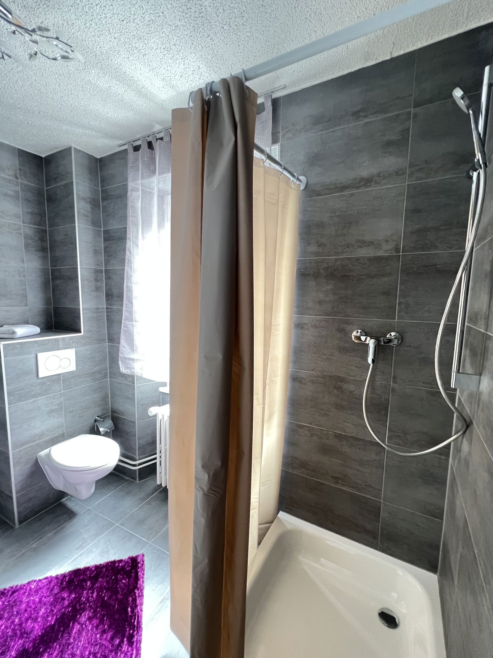 Chambre Chez L'habitant Montreux 367519