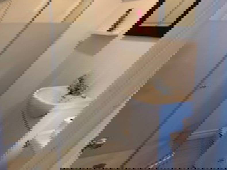 Chambre Chez L'habitant Montréal 338275-3