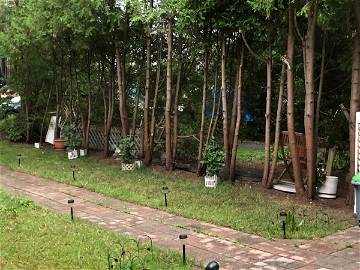 Homestay Montréal 338275-5