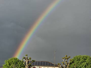 Chambre Chez L'habitant Grolley 301322-6