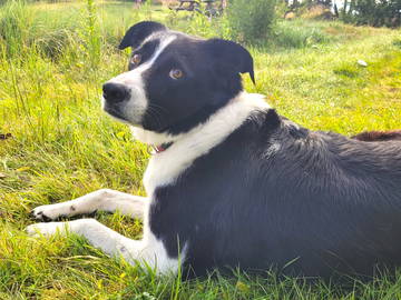 Chambre Chez L'habitant Montanaire 251938-10