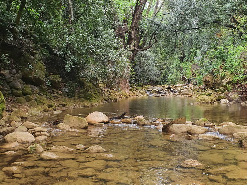 Gastfamilie Toulon 358035-4