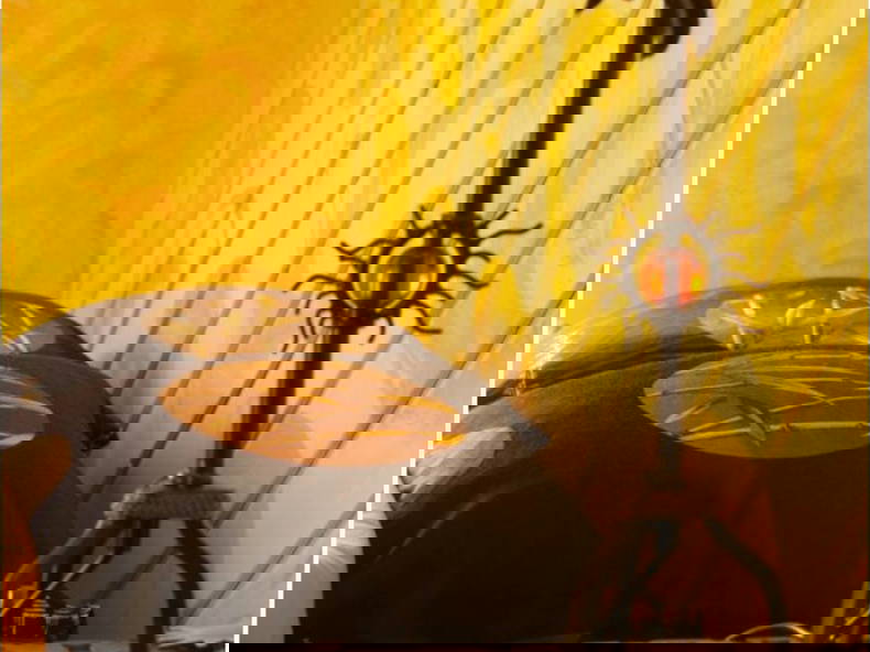 Homestay Bourg-en-Lavaux 227127-4