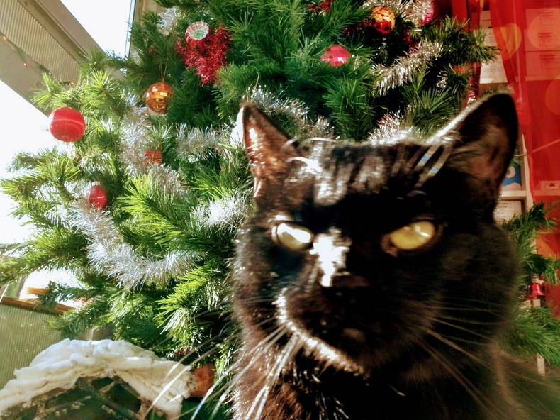 Gastfamilie Lyon 215856-2