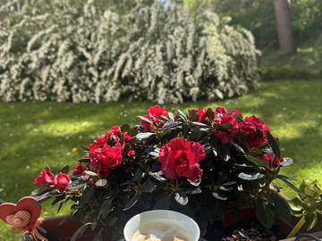 Chambre Chez L'habitant Versailles 662911-1