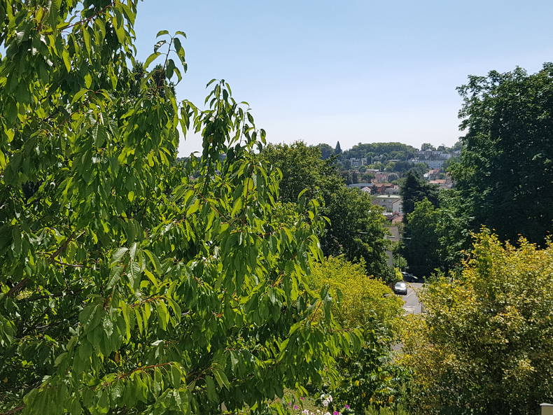 Chambre Chez L'habitant Bagneux 242689-5