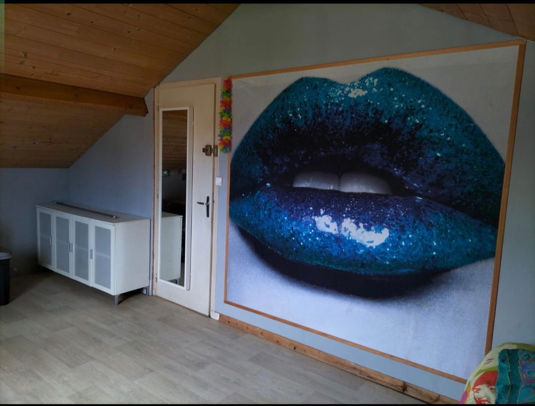 Chambre Chez L'habitant Nantes 398542