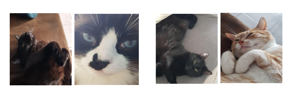 Chambre Chez L'habitant Mérignac 644347