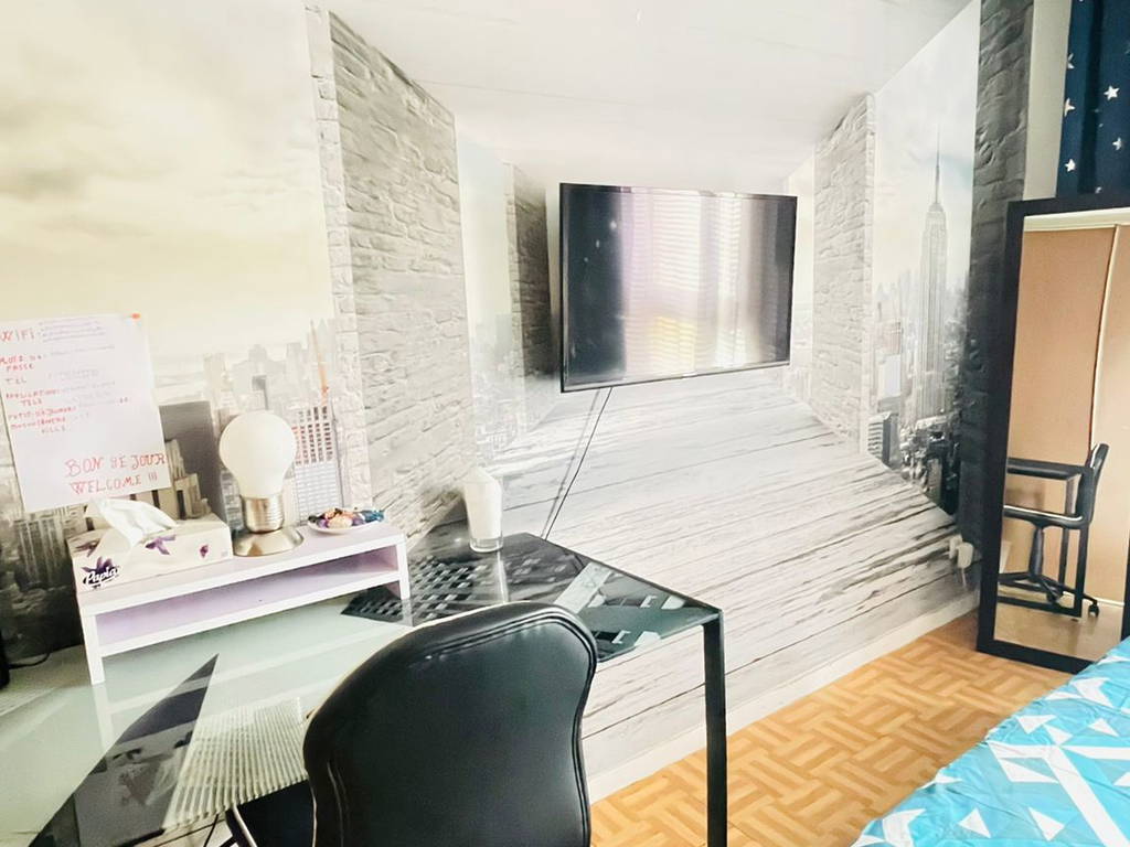 Chambre Chez L'habitant Villeurbanne 517313-1