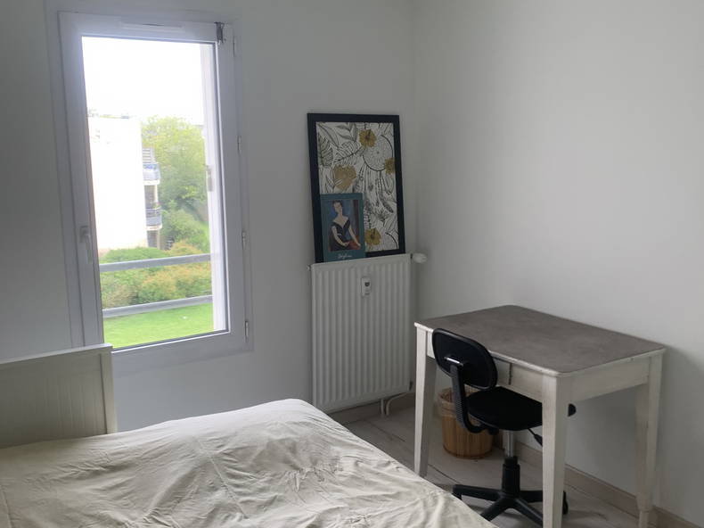 Chambre Chez L'habitant Nantes 224648-3