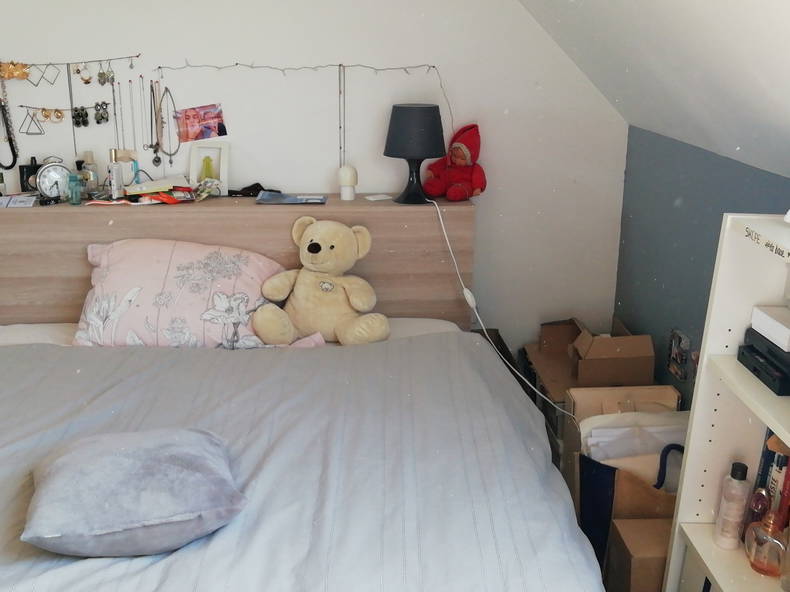 Chambre Chez L'habitant Wattignies 260711-3