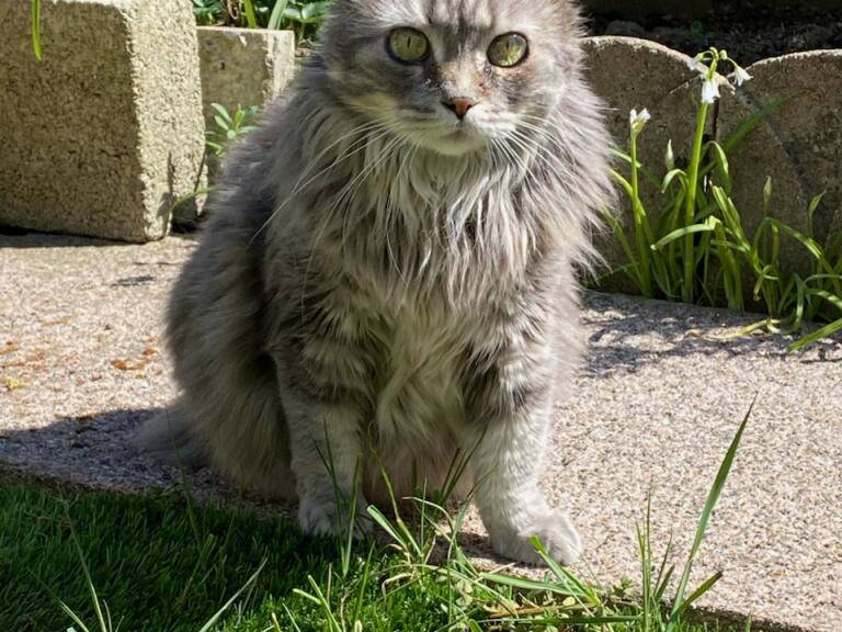 Colocación Saint-Brieuc 572704-3