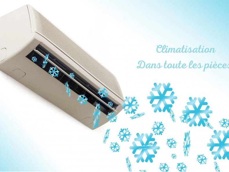 Kolokasie Perpignan 438643-4