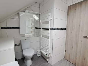 Colocation à louer à Michelbach-Le-Haut - photo 3 : salle de bain-3