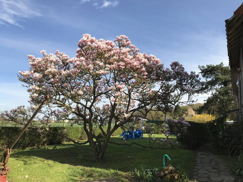 Colocation Magny-les-Hameaux 256950-3