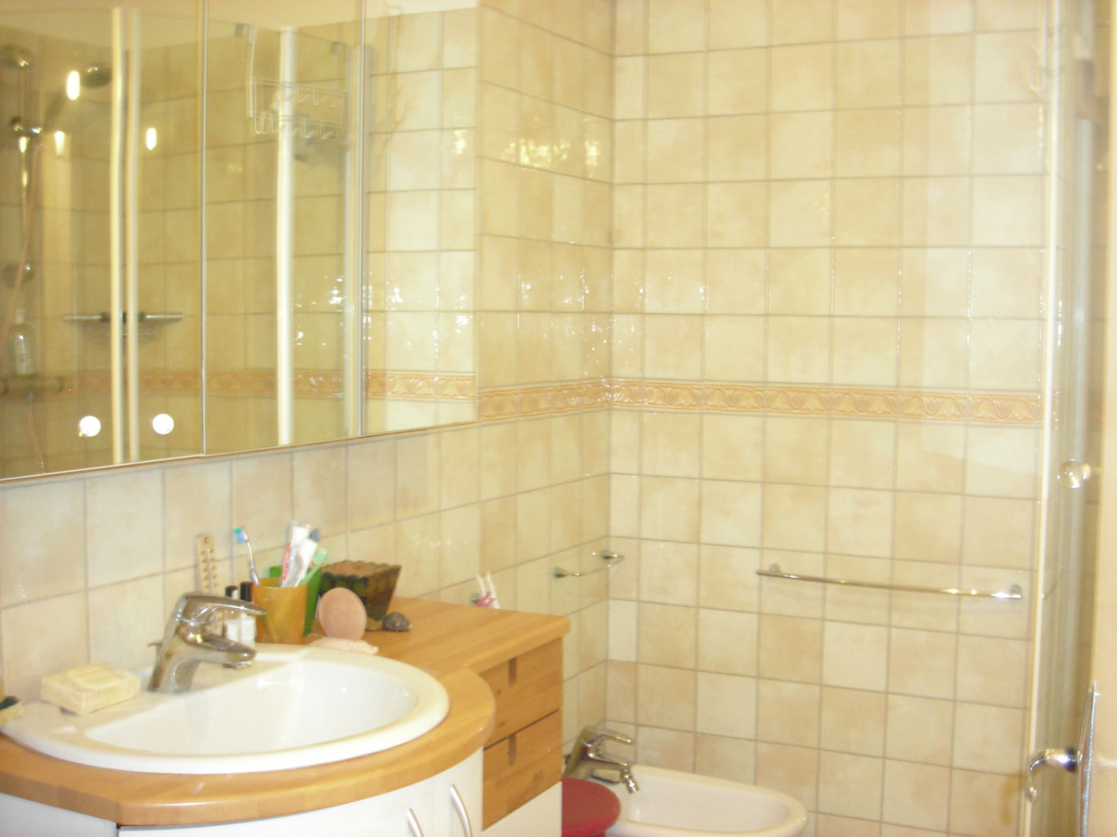 Chambre Chez L'habitant Échirolles 200850