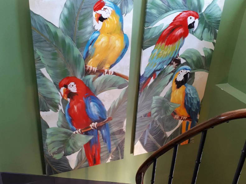 Colocation Melun 262119-5