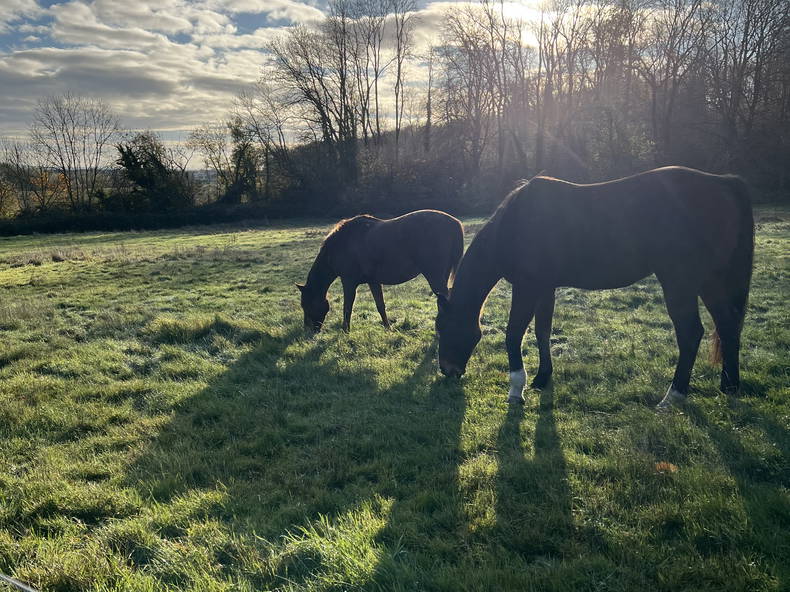 Colocation Boisemont 643440-4