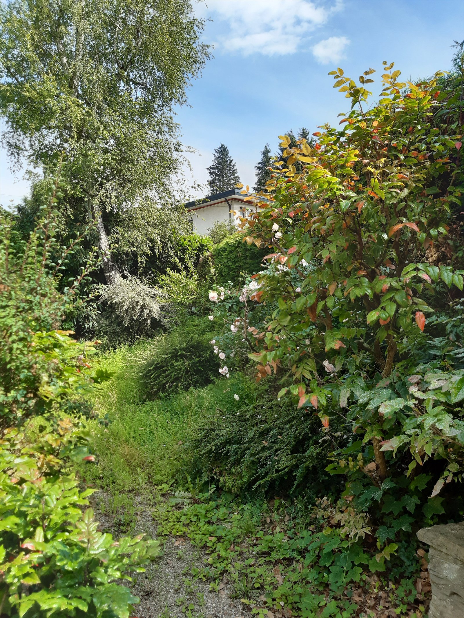Gastgezin Mulhouse 249970
