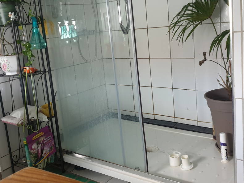 Famiglia Toulouse 252900-5