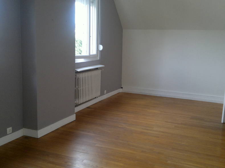 Kolokasie Clermont 251143-5