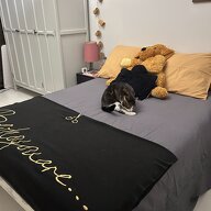 Chambre Chez L'habitant Vandœuvre-lès-Nancy 98705