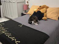 Chambre Chez L'habitant Vandœuvre-lès-Nancy 98705-3