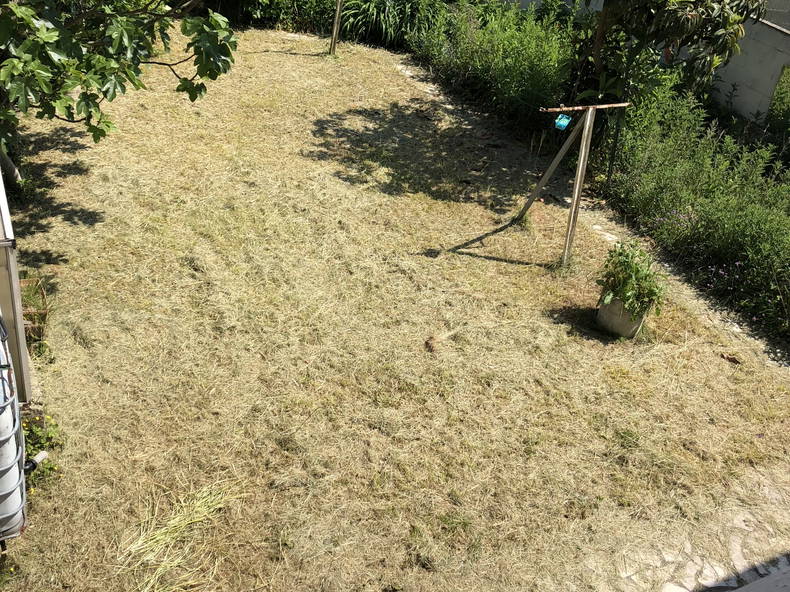 Chambre Chez L'habitant Tremblay-en-France 244514-2